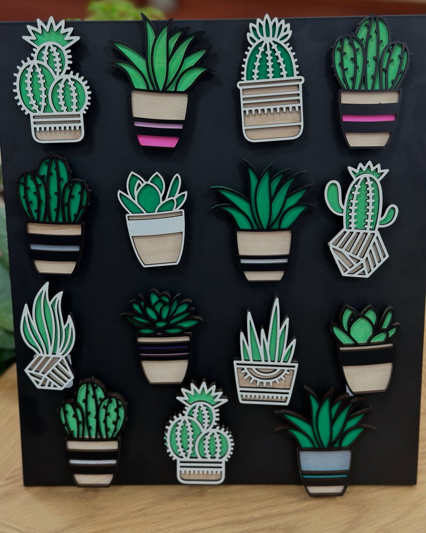 succulent plant magnets Succulent Magnets – Madera 1819