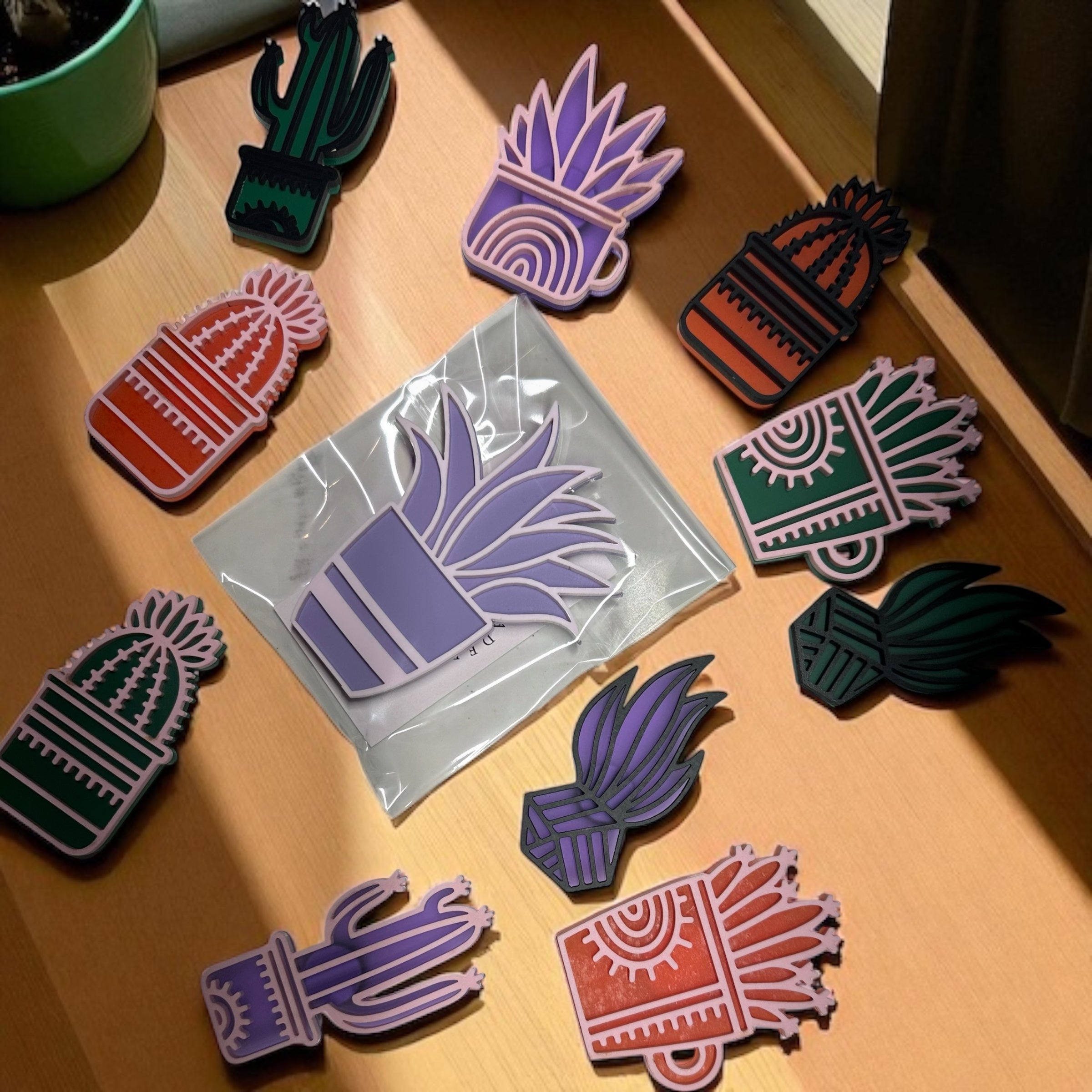 Succulent Magnets