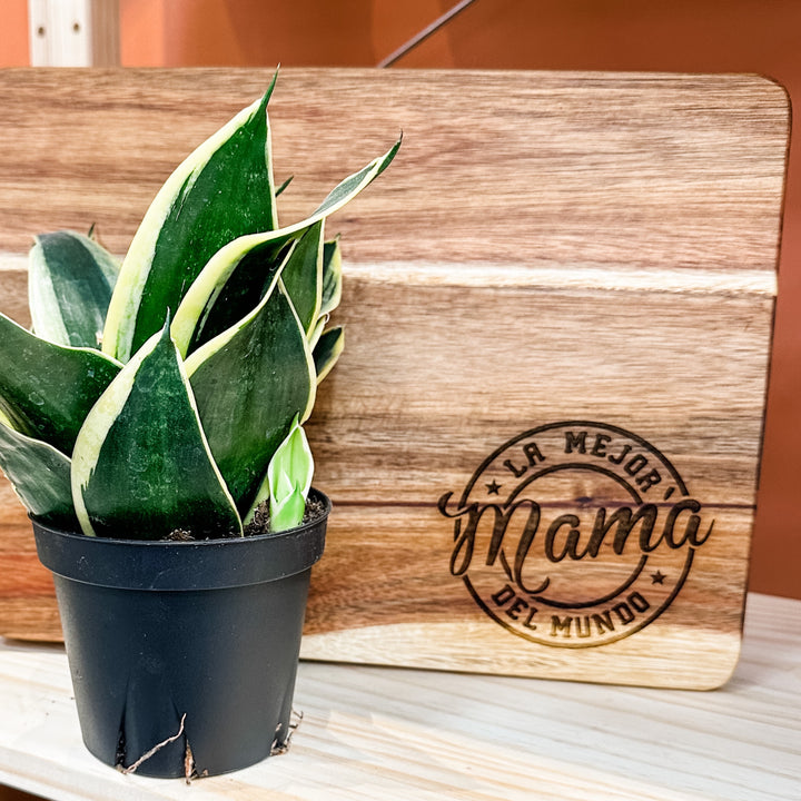 Mother’s Day Acacia Board